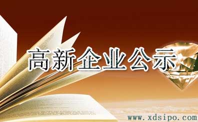 2016年广州市高新技术企业认定名单